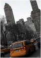 /album/divers/dsc-1060-bordermaker-jpg1/