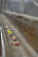 /album/divers/kev-4705-bordermaker-jpg/