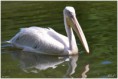 /album/beestig-leuk/kev-4939-bordermaker-jpg/