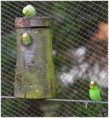 /album/beestig-leuk/kev-5283-bordermaker-jpg/