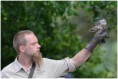 /album/beestig-leuk/kev-5537-bordermaker-jpg/