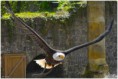 /album/beestig-leuk/kev-5676-bordermaker-jpg/
