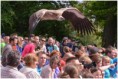 /album/beestig-leuk/kev-5752-bordermaker-jpg/