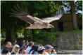 /album/beestig-leuk/kev-5754-bordermaker-jpg/