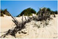 /album/divers/kev-5876-bordermaker-jpg/