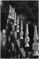 /album/divers/kev-5887-bordermaker-jpg/