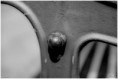 /album/divers/kev-5925-bordermaker-jpg/