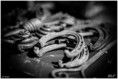 /album/fotogalerij-trammelant-2013/kev-3710-bordermaker-jpg/