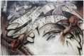 /album/divers/kev-7719-bordermaker-jpg/