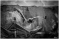 /album/divers/kev-7751-bordermaker-jpg/